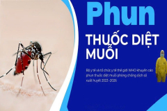 phun-thuoc-diet-muoi
