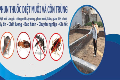 thuoc-diet-muon-tot-nhat