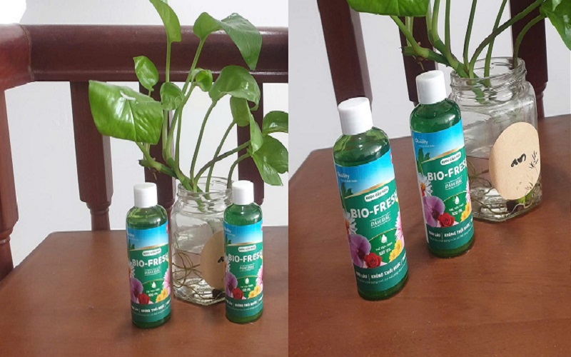 nuoc cam hoa tuoi lau