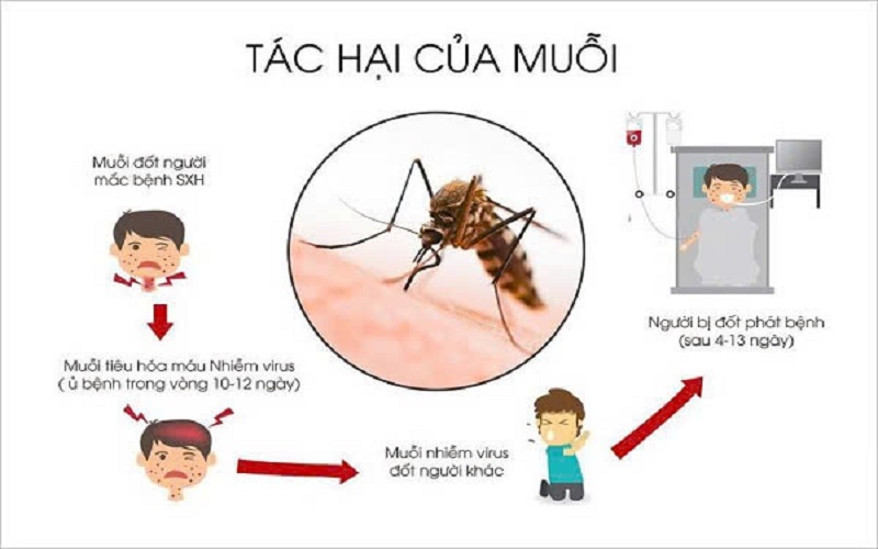 Thuốc diệt muỗi Y tế